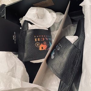 Udele Sprt Rexy RNBW